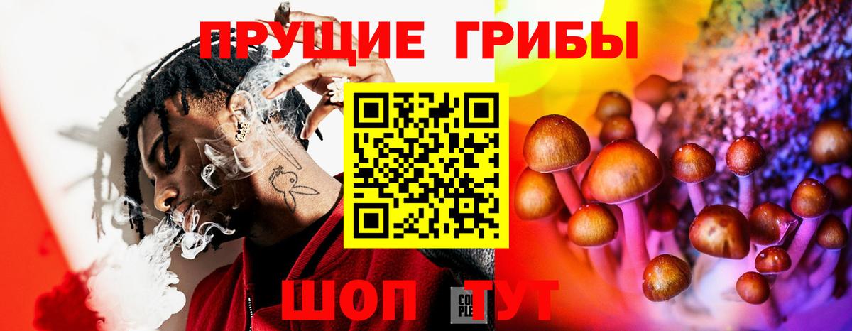 Камышин  закладки  Вход с VPN  Галлюциногенные грибы Psilocybine cubensis  Галлюциногенные грибы ЛСД 