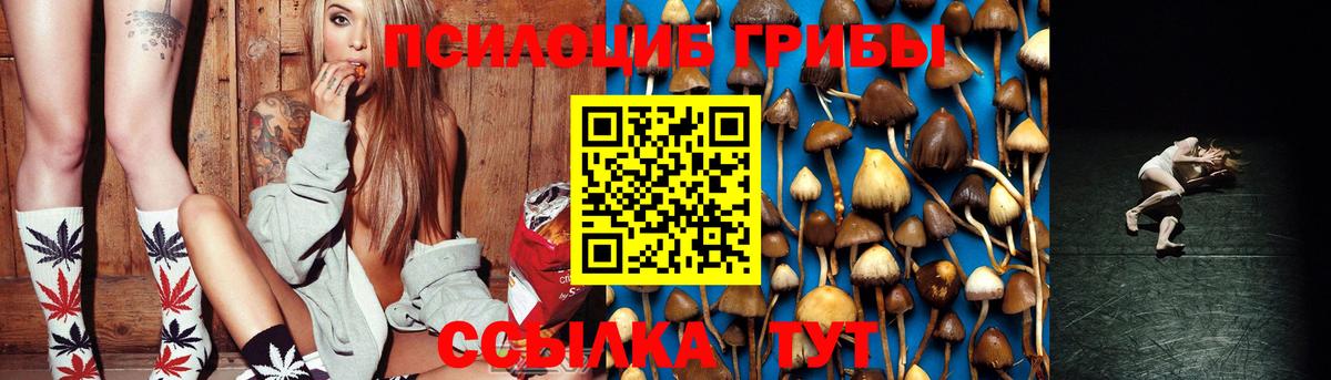 Галлюциногенные грибы GOLDEN TEACHER Камышин